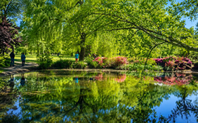 We Found a Hidden Garden Inside Richmond Park… and It Was Beautiful